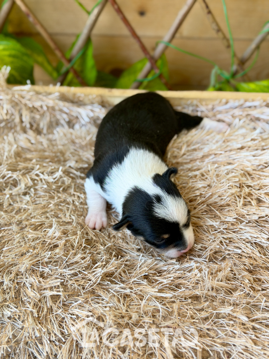 Fotografía tomada el 29/10/2025 Fotografía tomada el 29/10/2025