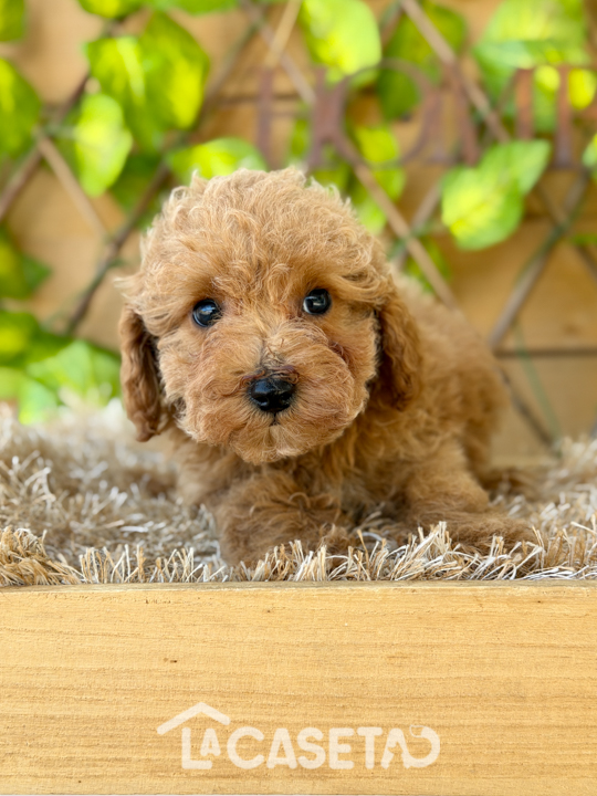 Fotografía tomada el 29/10/2025 Fotografía tomada el 29/10/2025