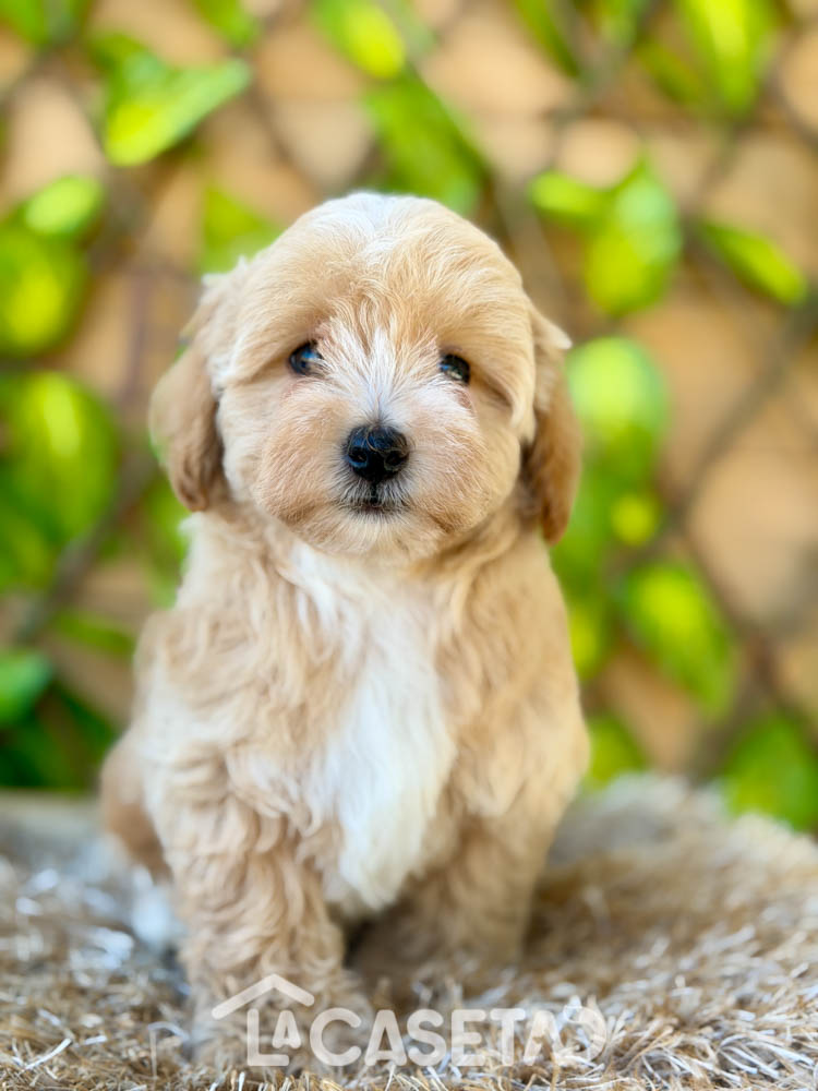 Fotografía tomada el 07/10/2025 Fotografía tomada el 07/10/2025