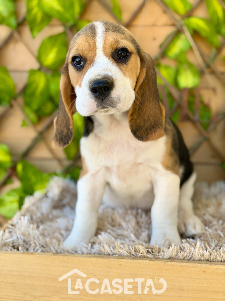 Fotografía tomada el 14/10/2025 Fotografía tomada el 14/10/2025