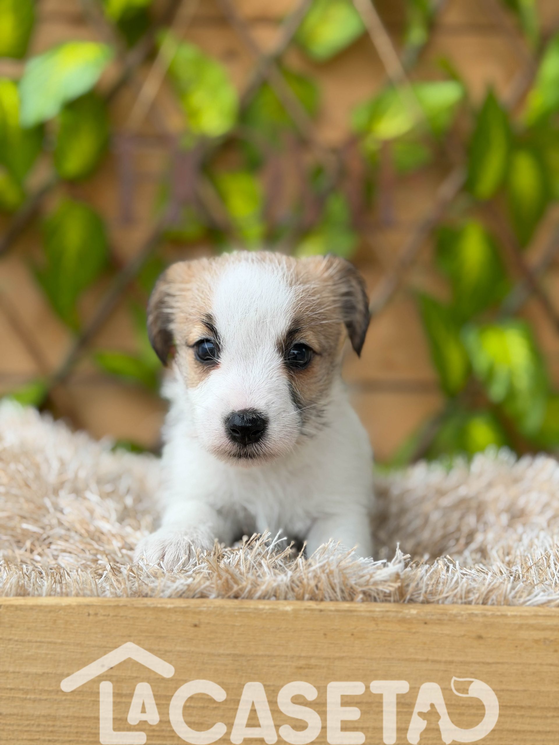 Fotografía tomada el 21/10/2025 Fotografía tomada el 21/10/2025