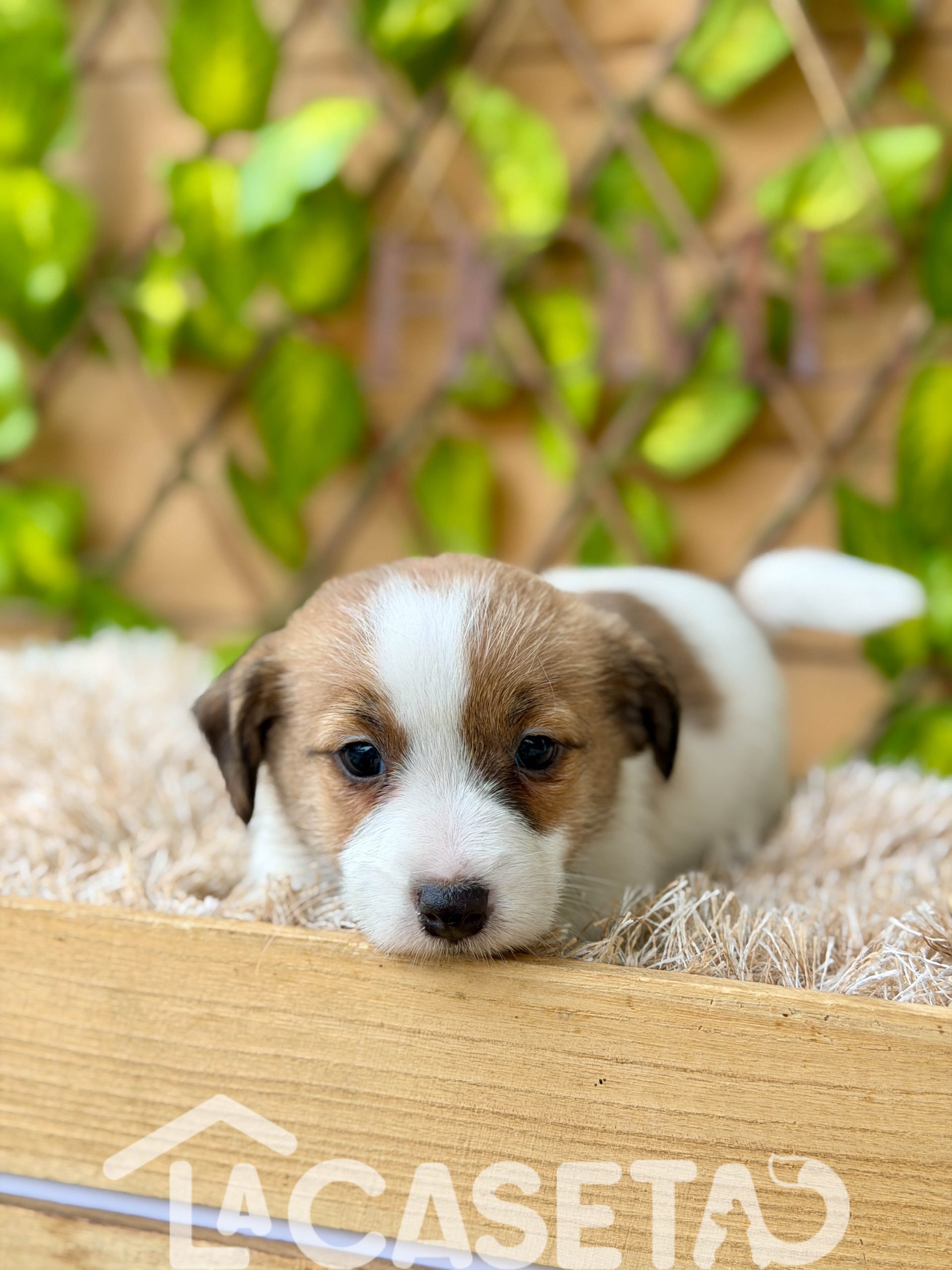 Fotografía tomada el 21/10/2025 Fotografía tomada el 21/10/2025