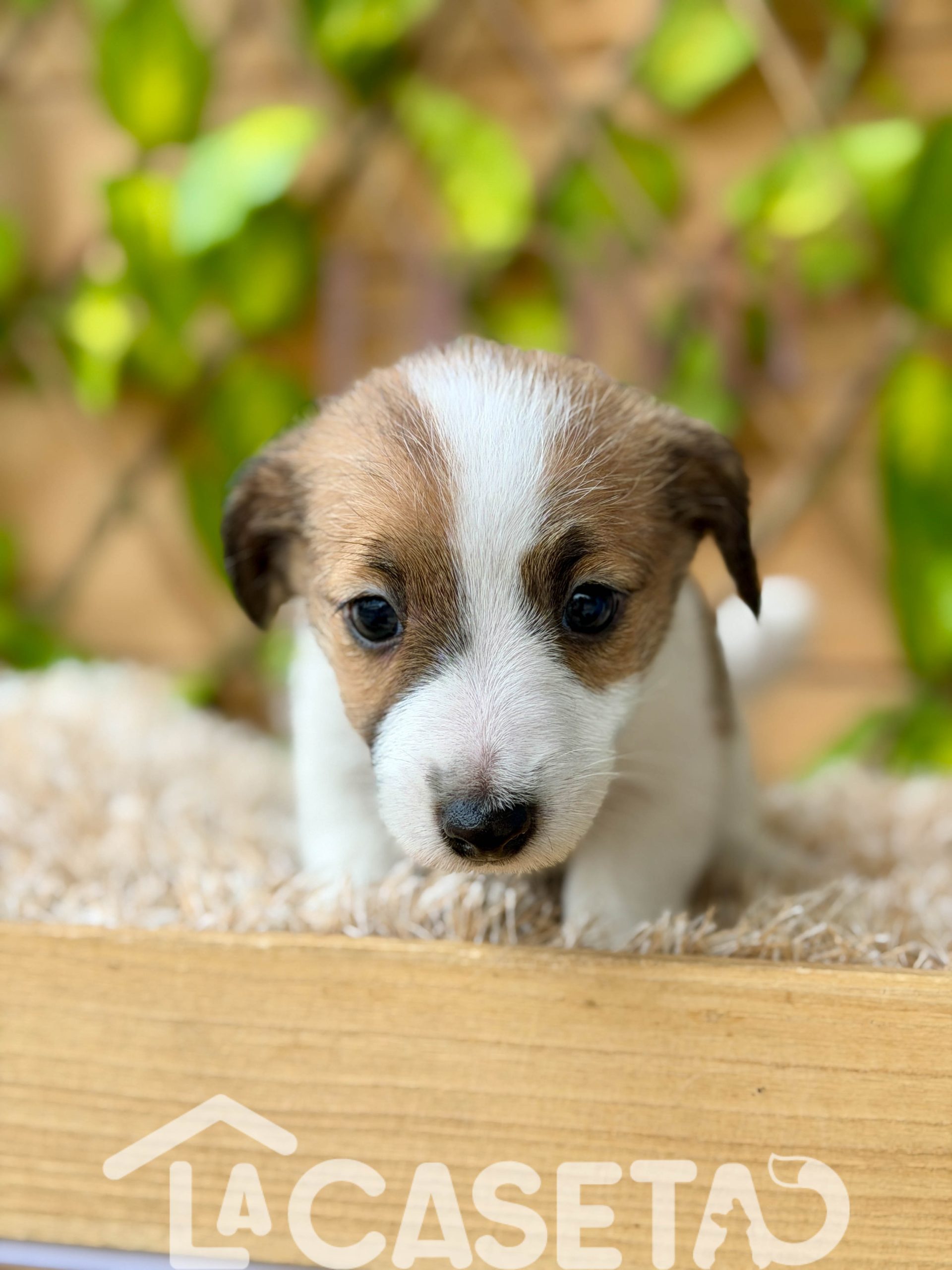 Fotografía tomada el 21/10/2025 Fotografía tomada el 21/10/2025