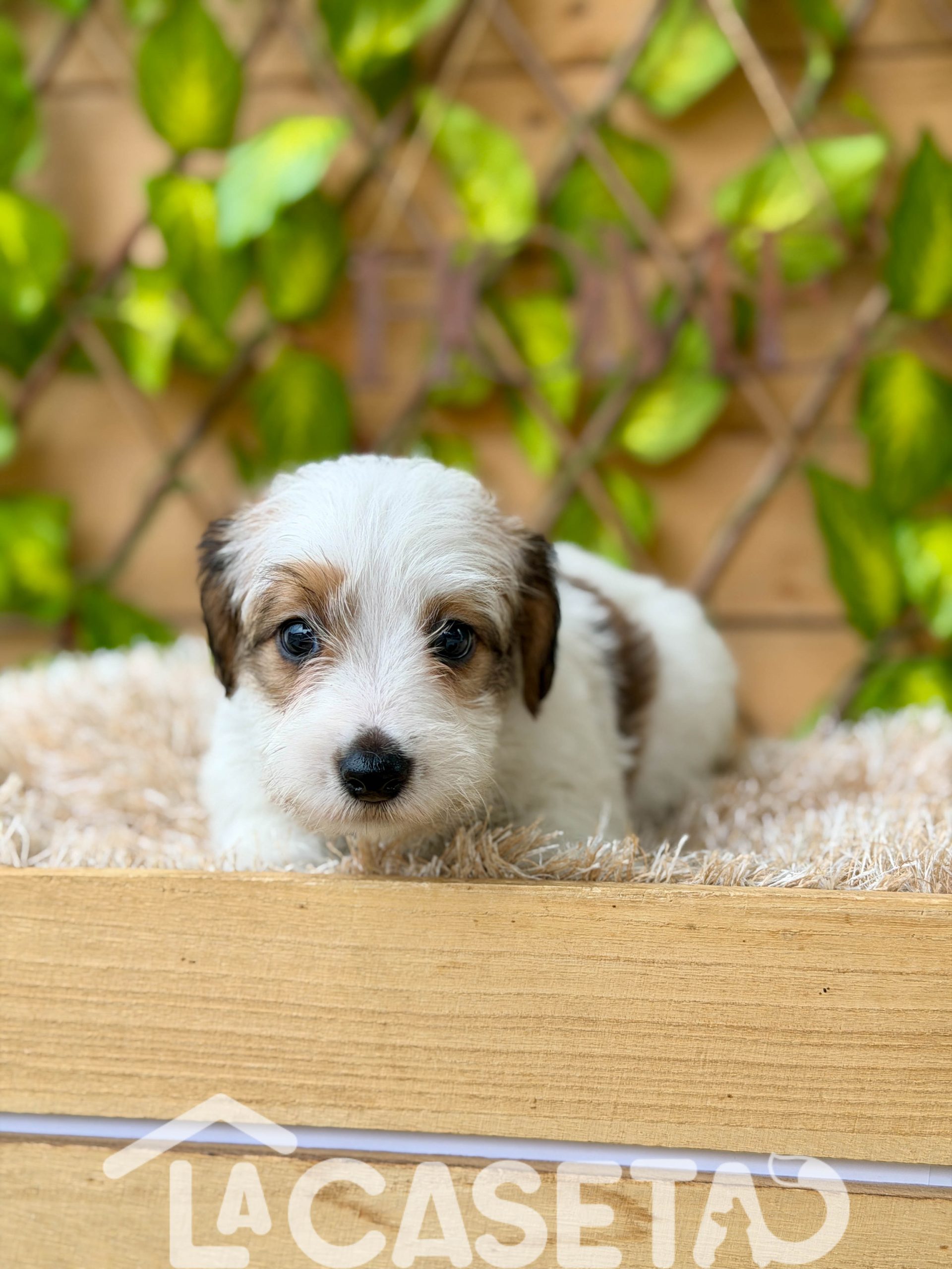 Fotografía tomada el 21/10/2025 Fotografía tomada el 21/10/2025