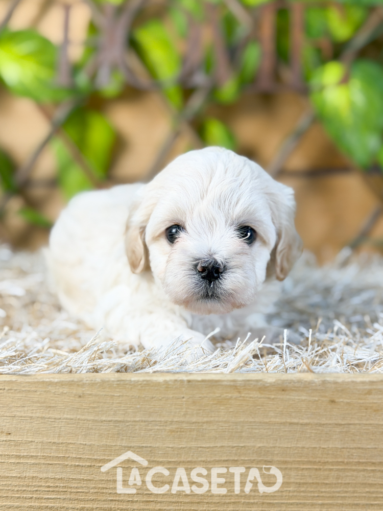 Fotografía tomada el 11/11/2025 Fotografía tomada el 11/11/2025