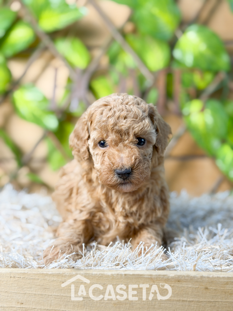 Fotografía tomada el 11/11/2025 Fotografía tomada el 11/11/2025