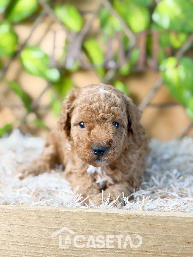 Fotografía tomada el 11/11/2025 Fotografía tomada el 11/11/2025