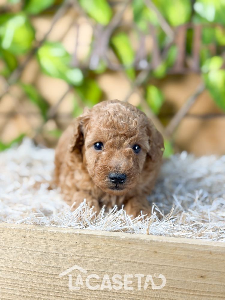 Fotografía tomada el 11/11/2025 Fotografía tomada el 11/11/2025