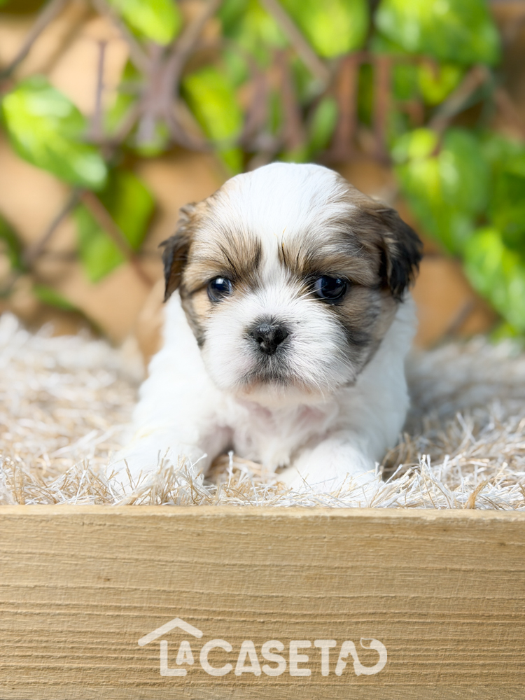 Fotografía tomada el 11/11/2025 Fotografía tomada el 11/11/2025