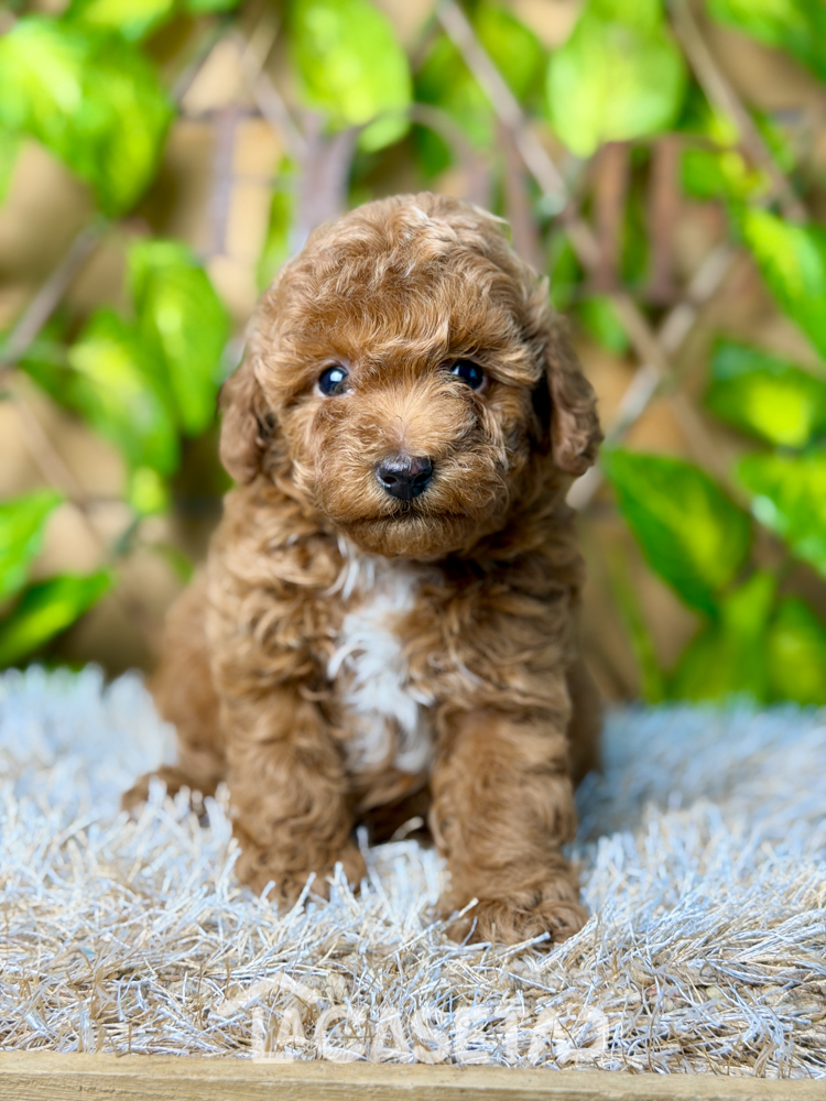 Fotografía tomada el 04/11/2025 Fotografía tomada el 04/11/2025