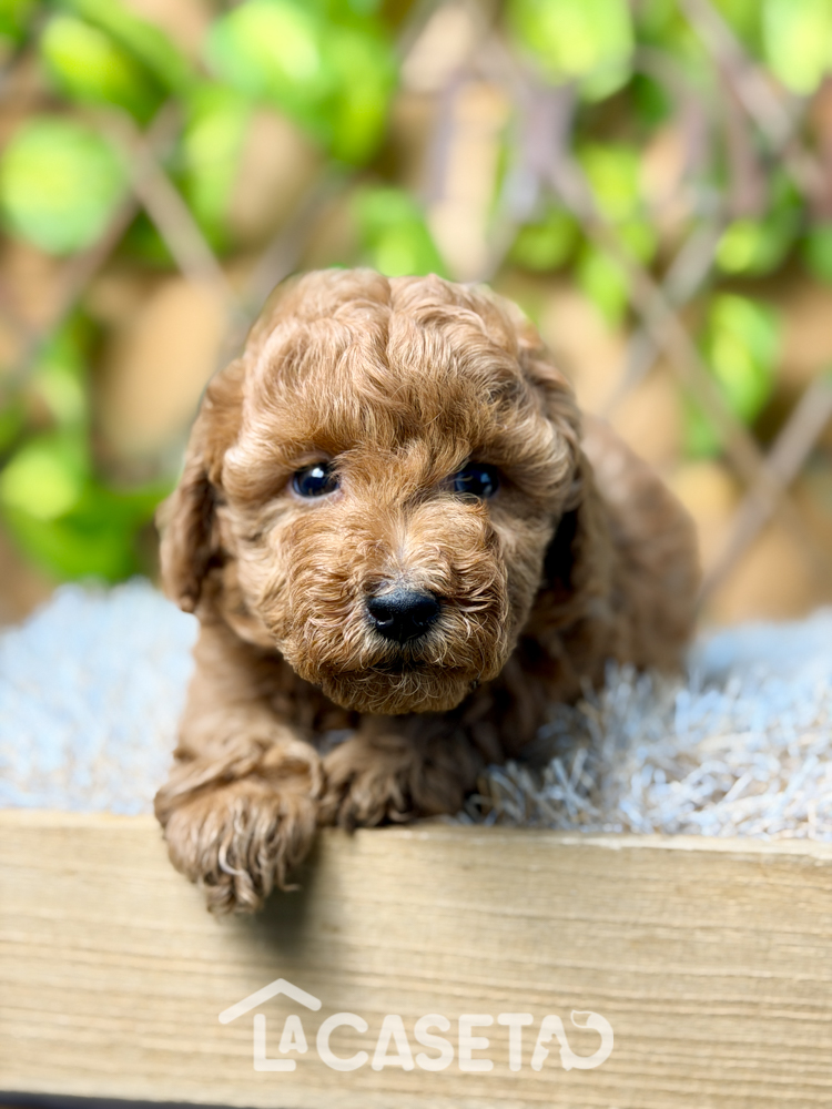 Fotografía tomada el 04/11/2025 Fotografía tomada el 04/11/2025