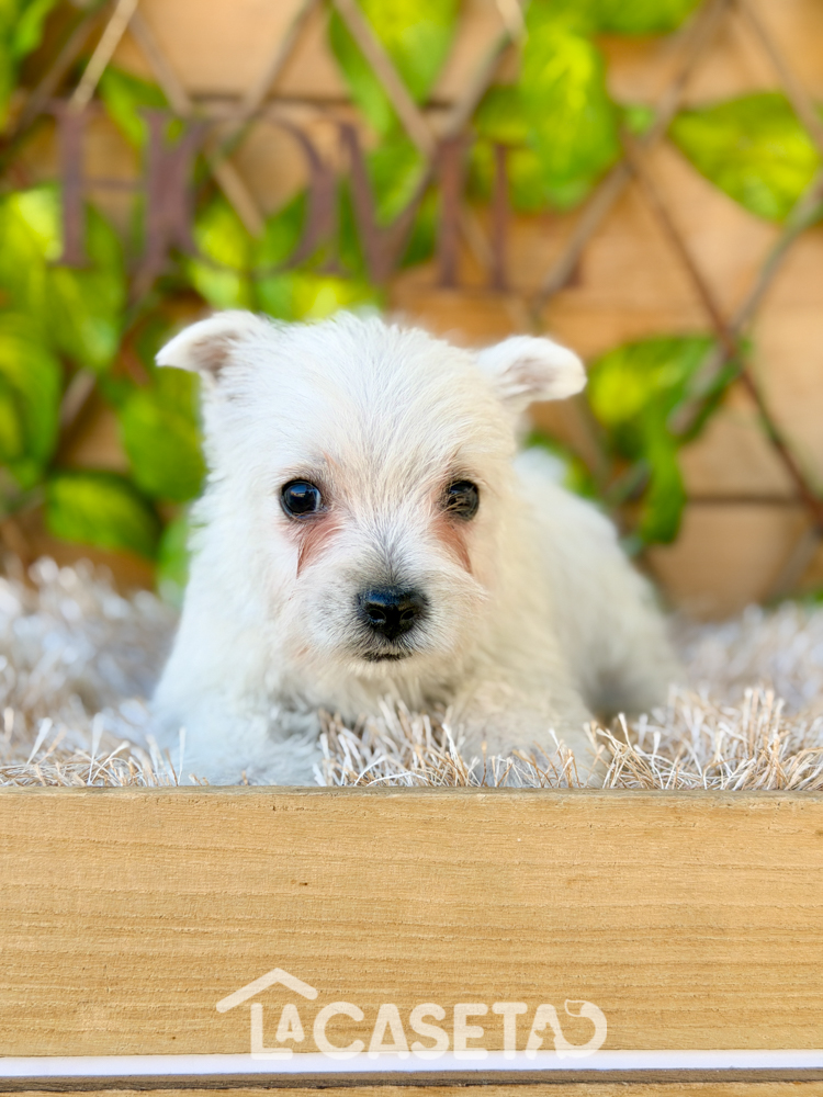 Fotografía tomada el 20/01/2026 Fotografía tomada el 20/01/2026