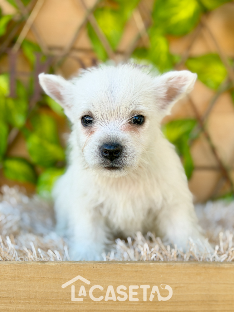 Fotografía tomada el 20/01/2026 Fotografía tomada el 20/01/2026