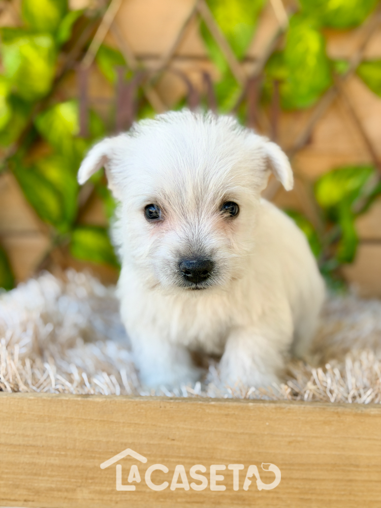 Fotografía tomada el 20/01/2026 Fotografía tomada el 20/01/2026