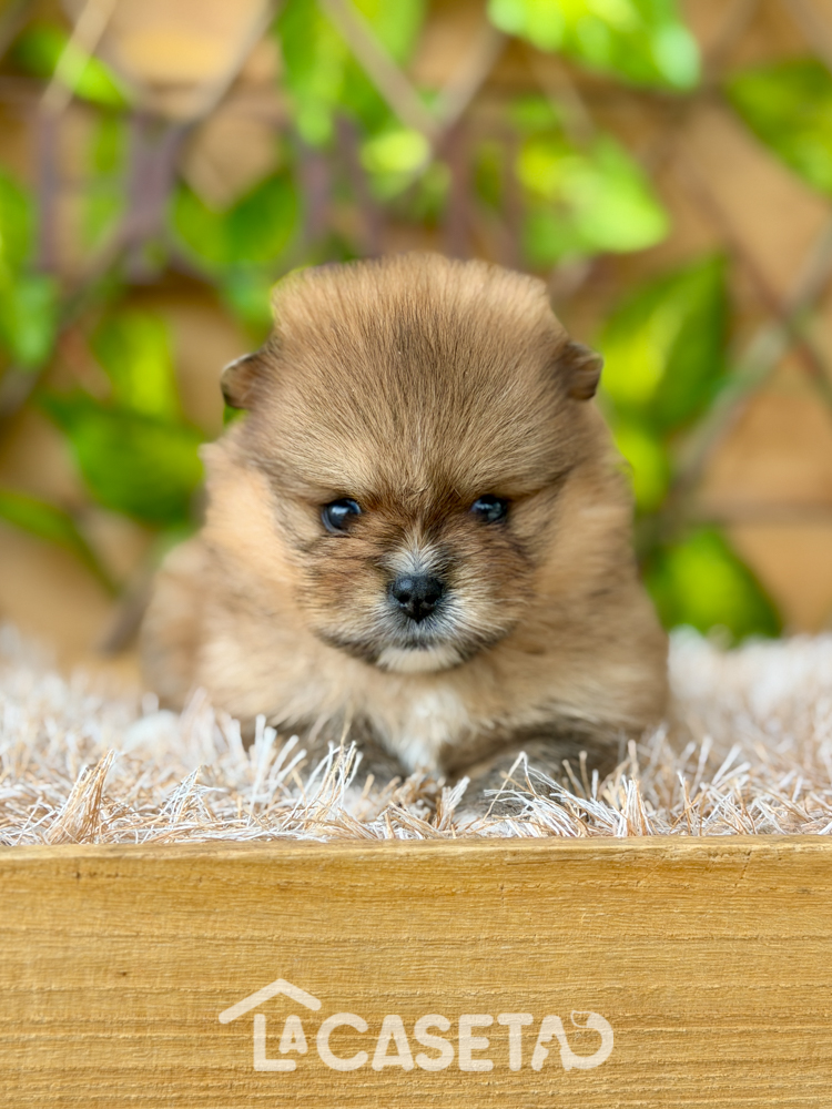 Fotografía tomada el 13/01/2026 Fotografía tomada el 13/01/2026