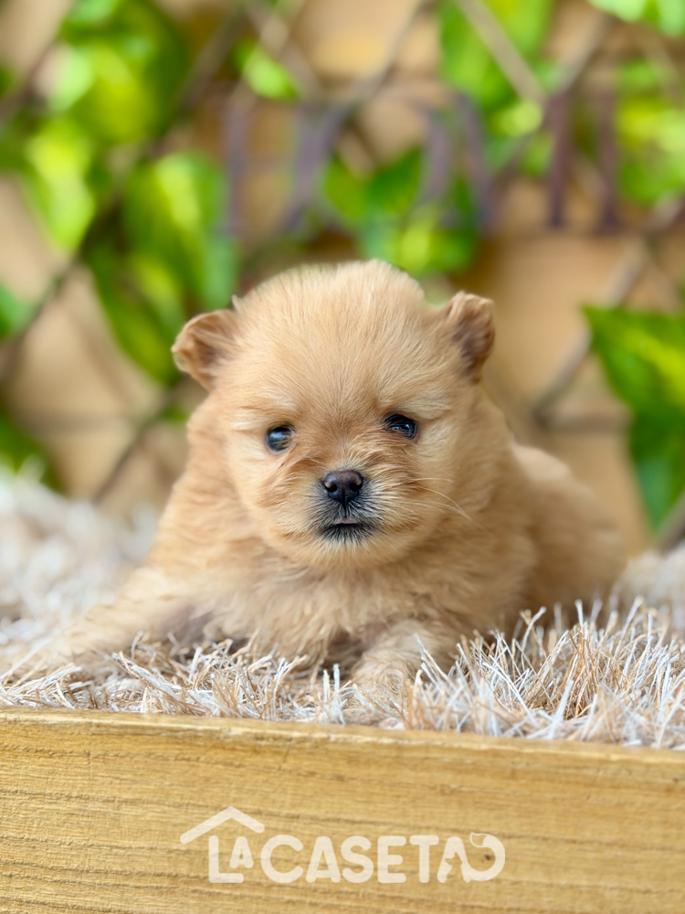 Fotografía tomada el 13/01/2026 Fotografía tomada el 13/01/2026