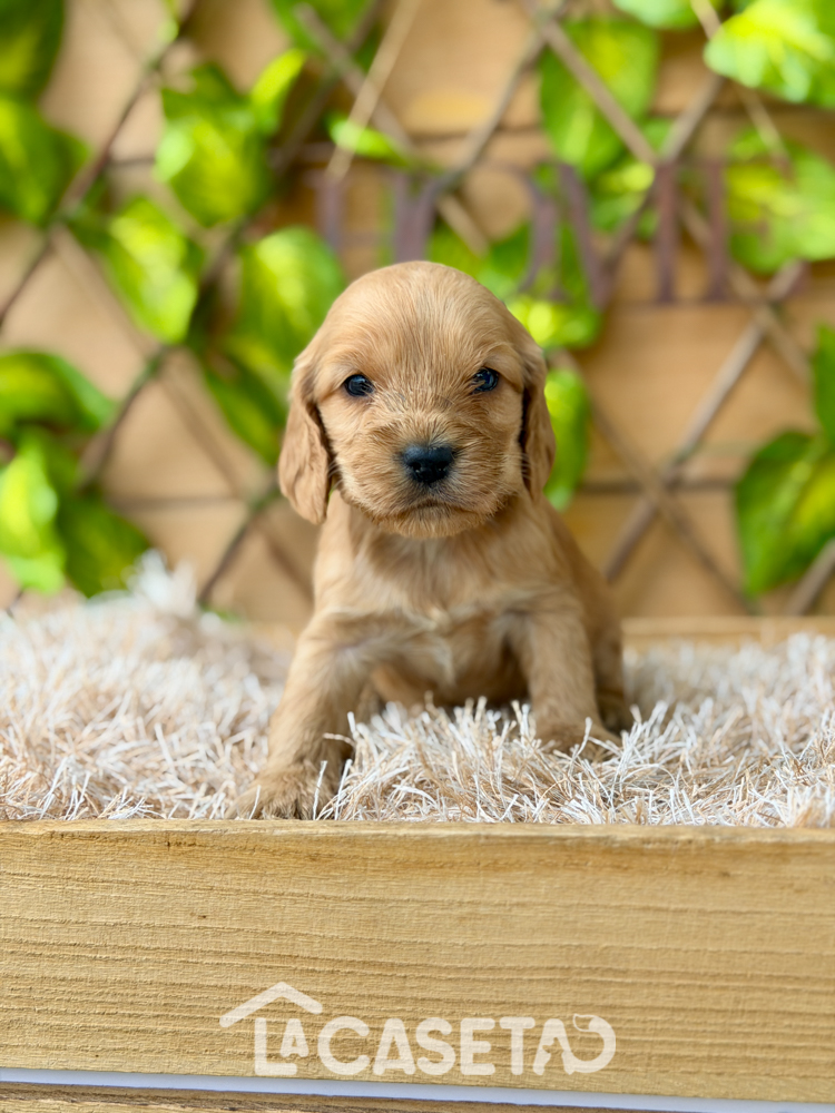 Fotografía tomada el 13/01/2026 Fotografía tomada el 13/01/2026