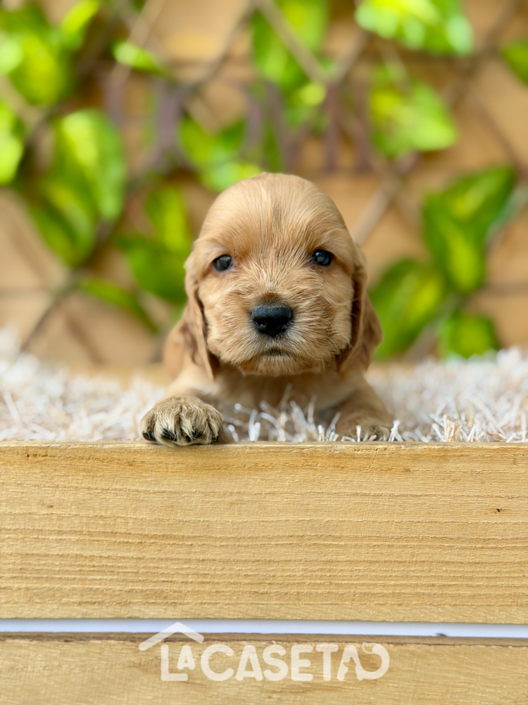 Fotografía tomada el 13/01/2026 Fotografía tomada el 13/01/2026