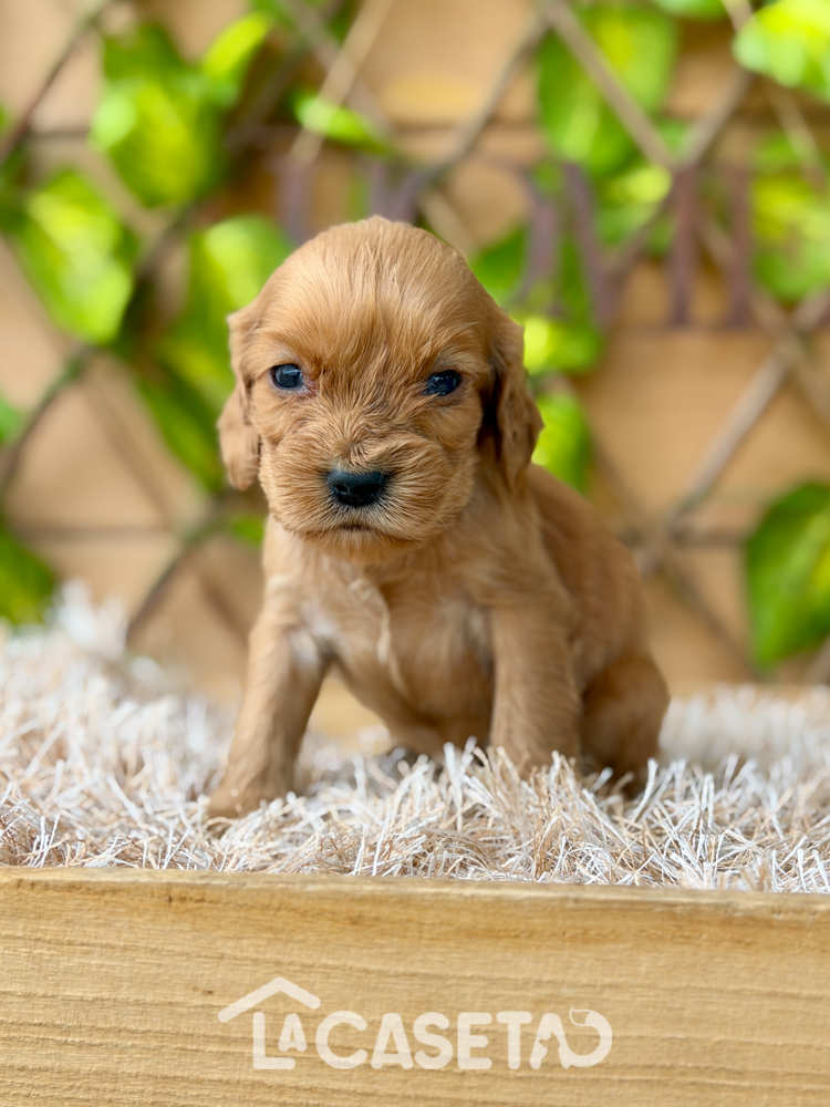 Fotografía tomada el 13/01/2026 Fotografía tomada el 13/01/2026