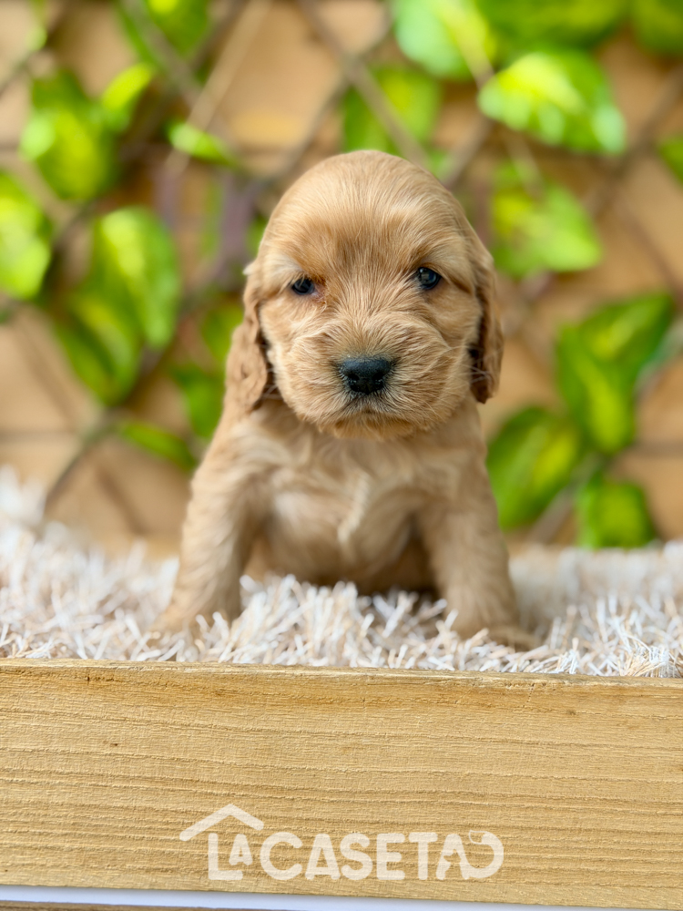 Fotografía tomada el 13/01/2026 Fotografía tomada el 13/01/2026