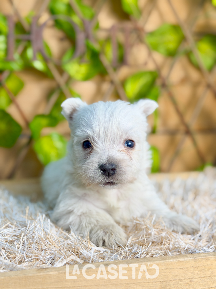 Fotografía tomada el 07/01/2026 Fotografía tomada el 07/01/2026