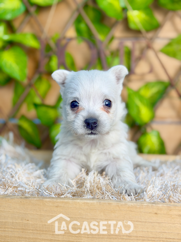 Fotografía tomada el 07/01/2026 Fotografía tomada el 07/01/2026