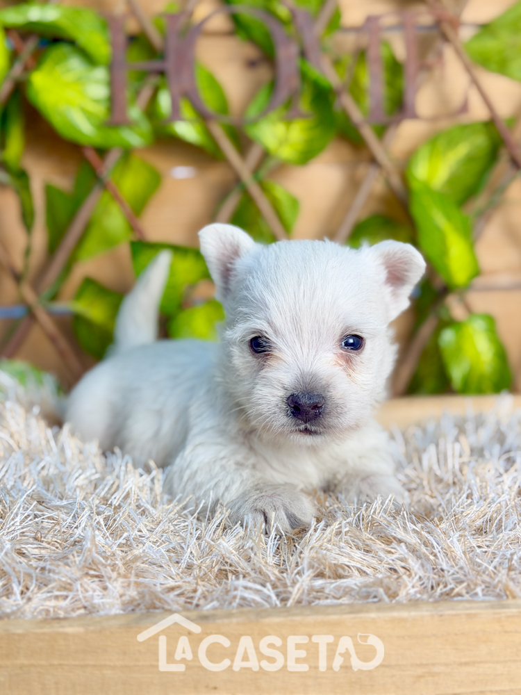 Fotografía tomada el 07/01/2026 Fotografía tomada el 07/01/2026