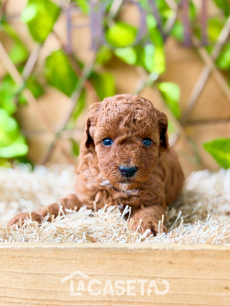 Fotografía tomada el 10/02/2026 Fotografía tomada el 10/02/2026