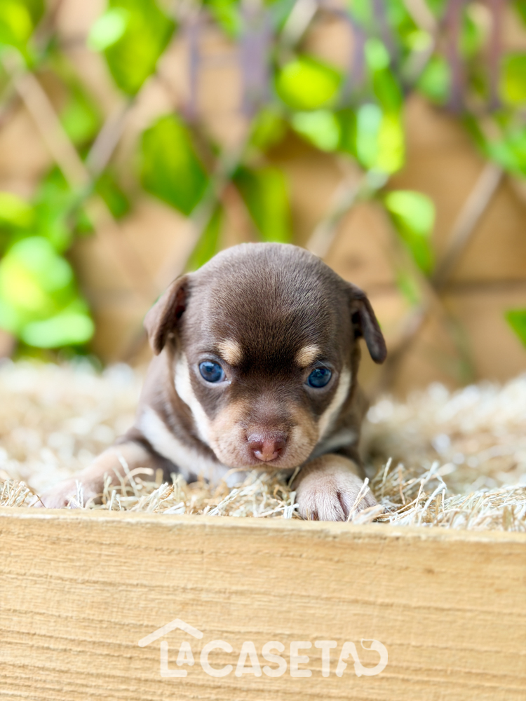 Fotografía tomada el 10/02/2026 Fotografía tomada el 10/02/2026