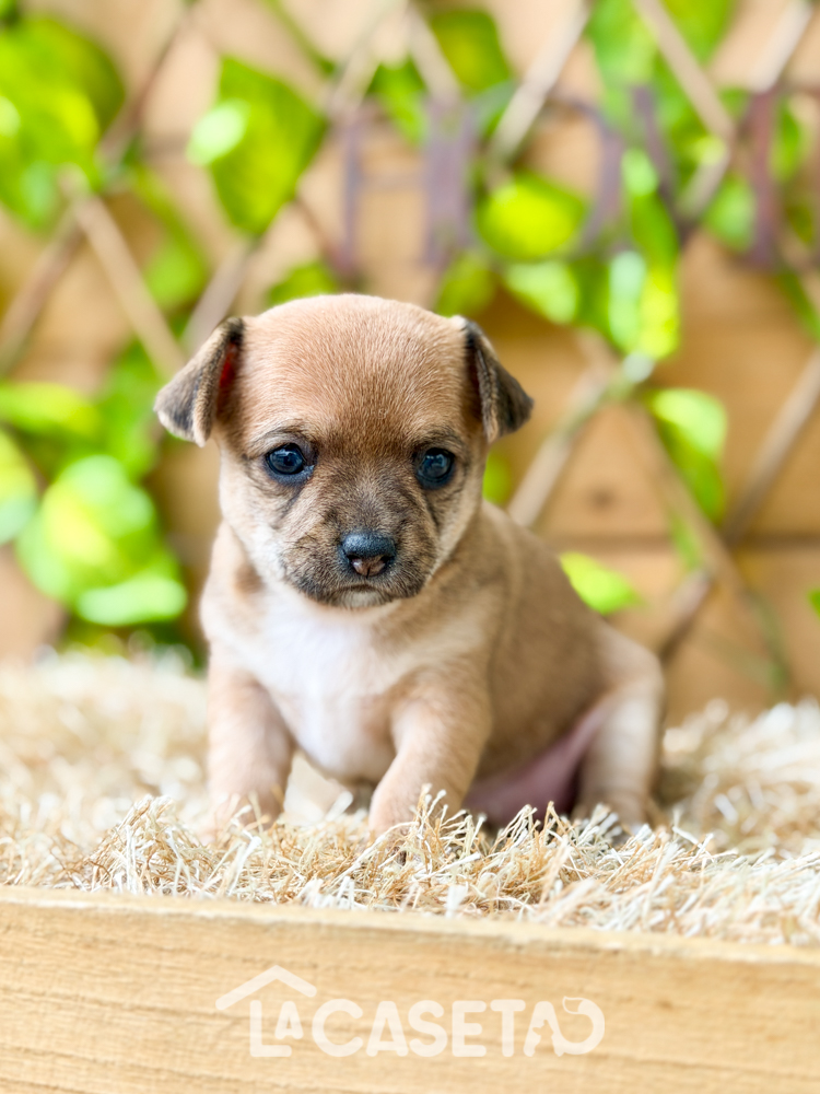 Fotografía tomada el 10/02/2026 Fotografía tomada el 10/02/2026