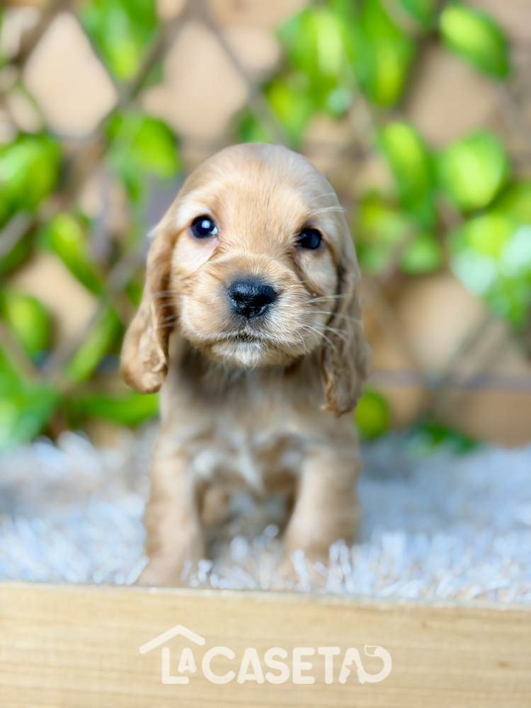 Fotografía tomada el 27/01/2026 Fotografía tomada el 27/01/2026