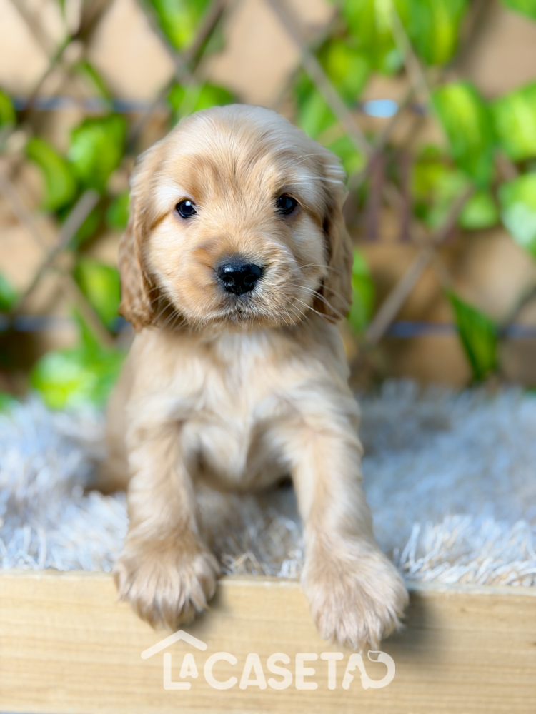 Fotografía tomada el 27/01/2026 Fotografía tomada el 27/01/2026