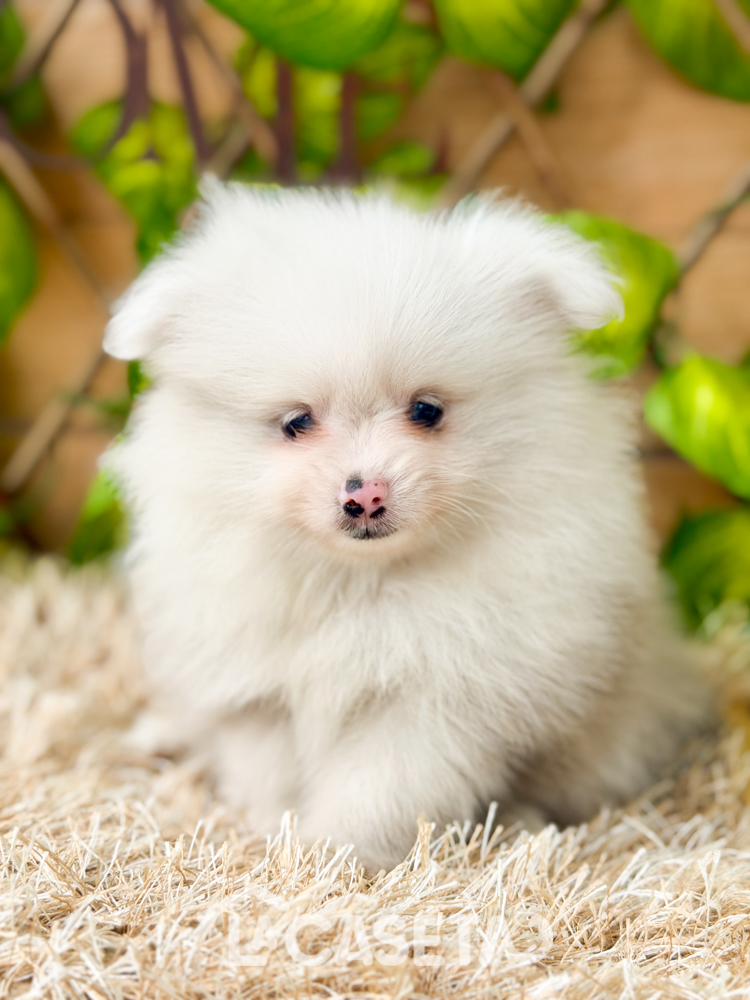 Fotografía tomada el 10/03/2026 Fotografía tomada el 10/03/2026