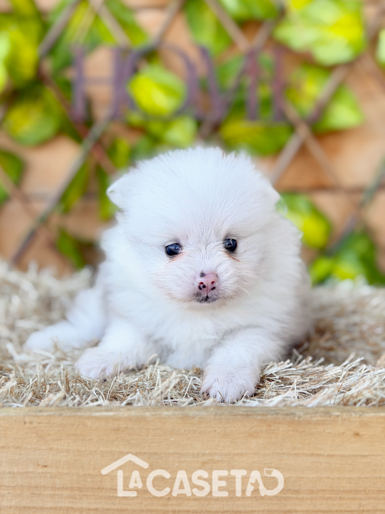 Fotografía tomada el 17/02/2026 Fotografía tomada el 17/02/2026