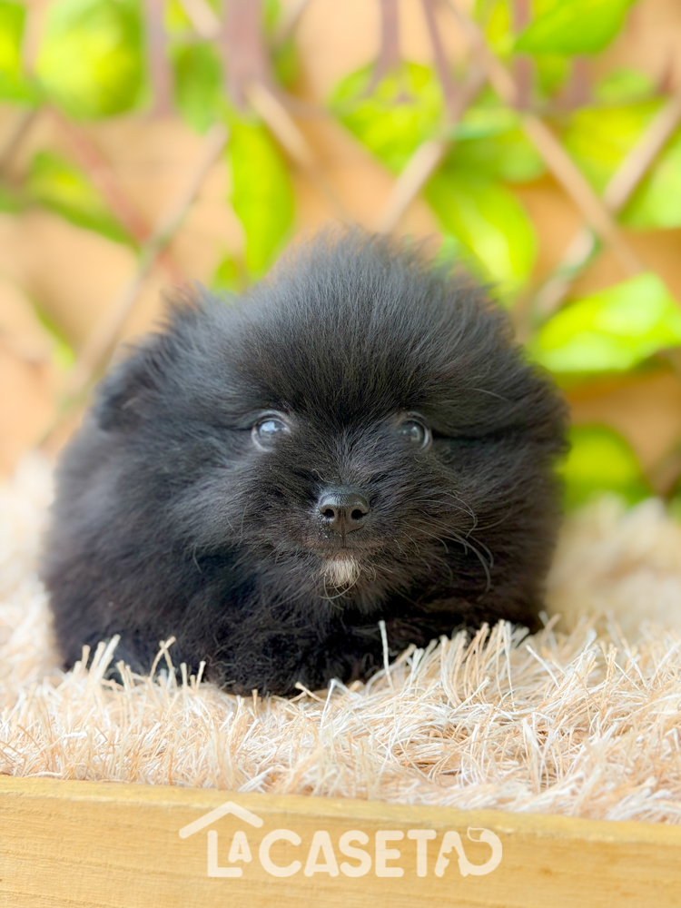 Fotografía tomada el 10/03/2026 Fotografía tomada el 10/03/2026