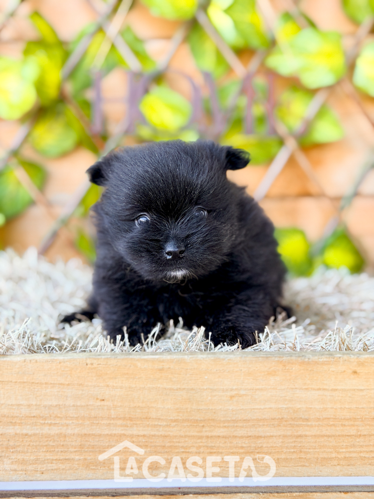 Fotografía tomada el 17/02/2026 Fotografía tomada el 17/02/2026