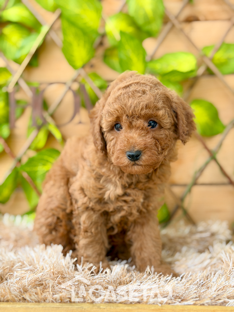 Fotografía tomada el 03/03/2026 Fotografía tomada el 03/03/2026