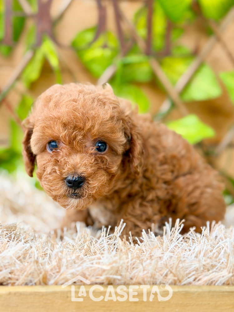 Fotografía tomada el 10/03/2026 Fotografía tomada el 10/03/2026