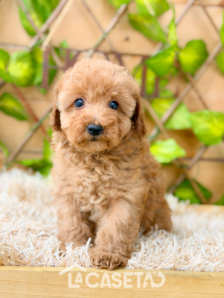 Fotografía tomada el 10/03/2026 Fotografía tomada el 10/03/2026