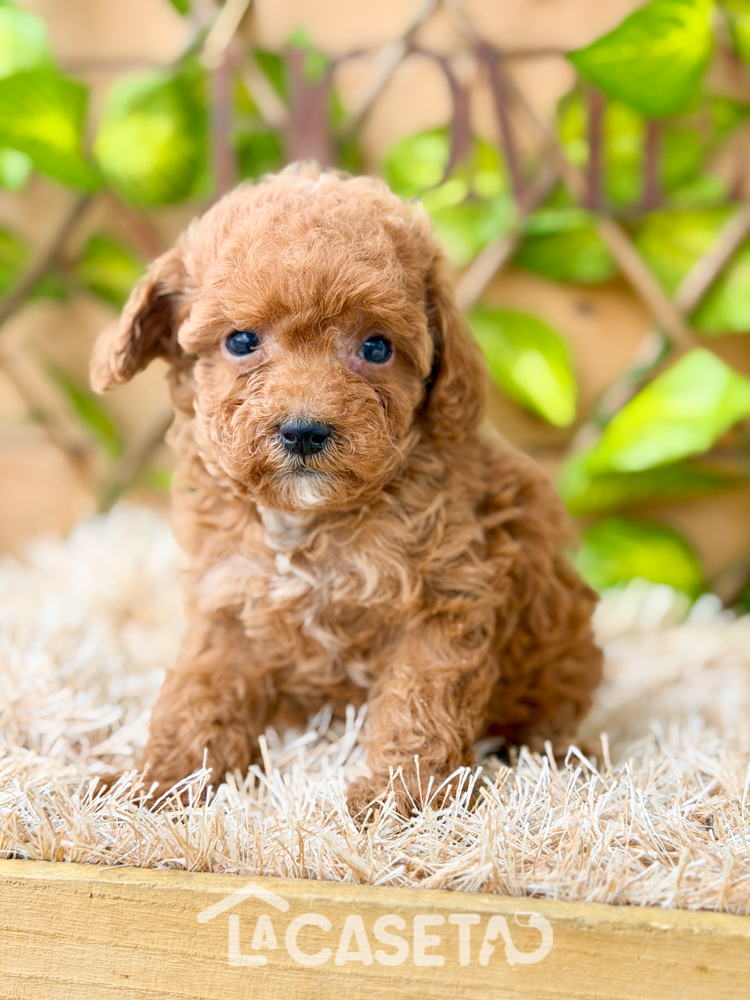 Fotografía tomada el 10/03/2026 Fotografía tomada el 10/03/2026