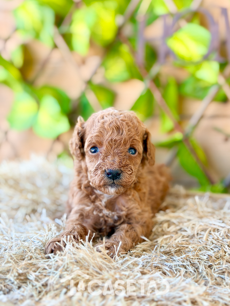Fotografía tomada el 17/02/2026 Fotografía tomada el 17/02/2026