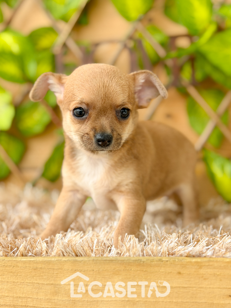 Fotografía tomada el 03/03/2026 Fotografía tomada el 03/03/2026