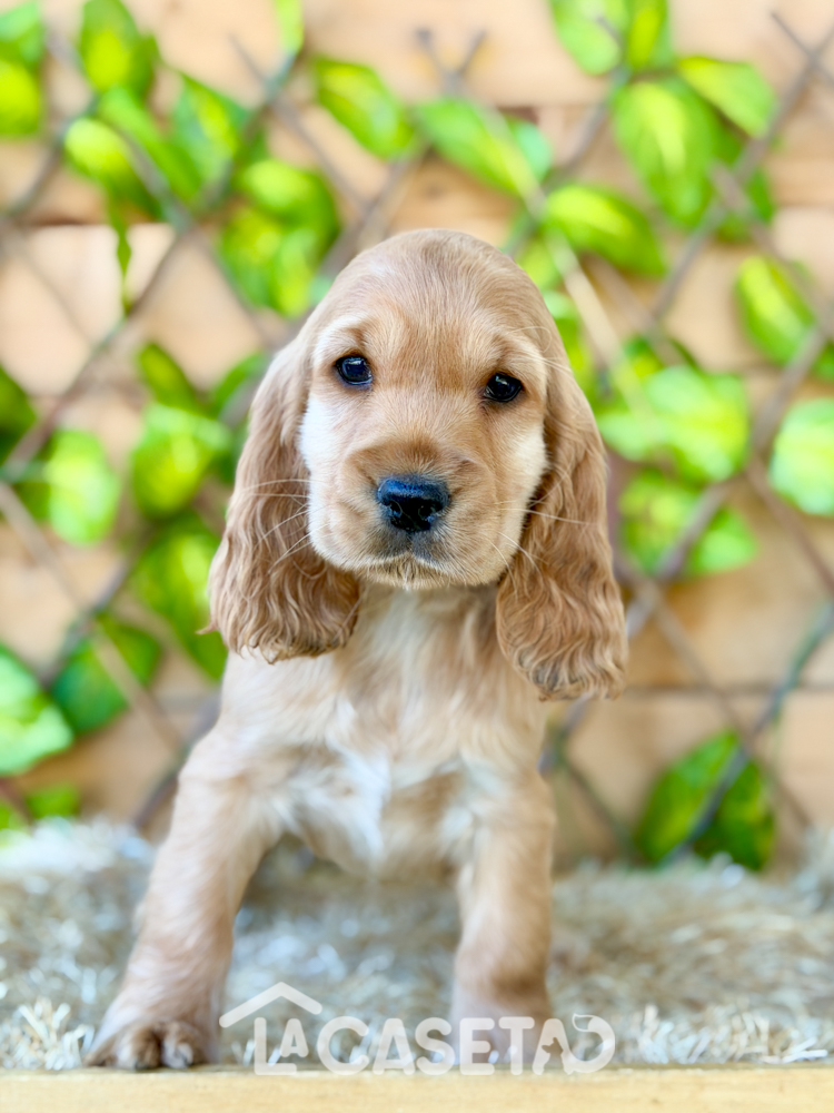 Fotografía tomada el 17/02/2026 Fotografía tomada el 17/02/2026