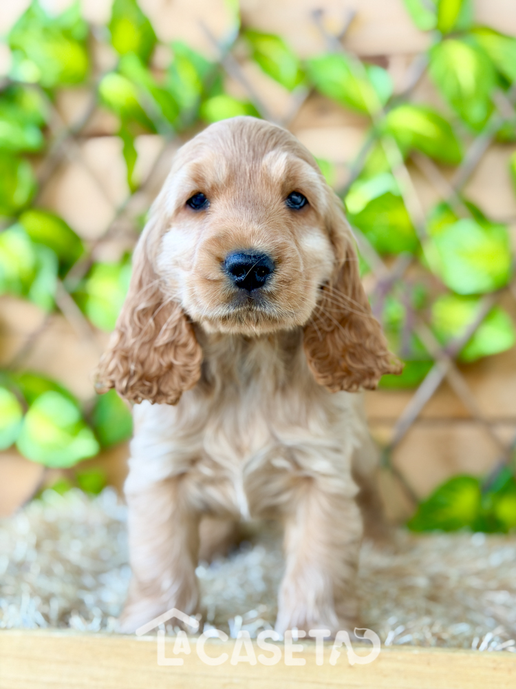 Fotografía tomada el 17/02/2026 Fotografía tomada el 17/02/2026