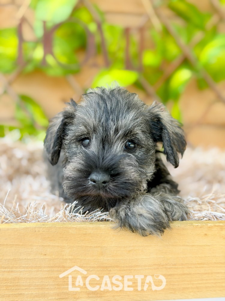 Fotografía tomada el 08/04/2026 Fotografía tomada el 08/04/2026