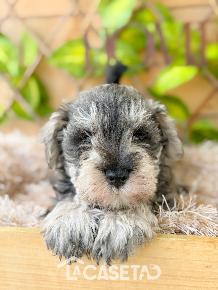 Fotografía tomada el 08/04/2026 Fotografía tomada el 08/04/2026