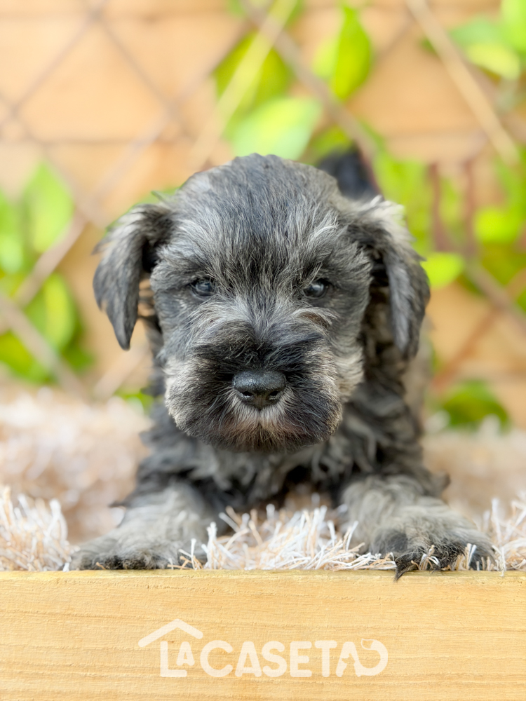 Fotografía tomada el 08/04/2026 Fotografía tomada el 08/04/2026