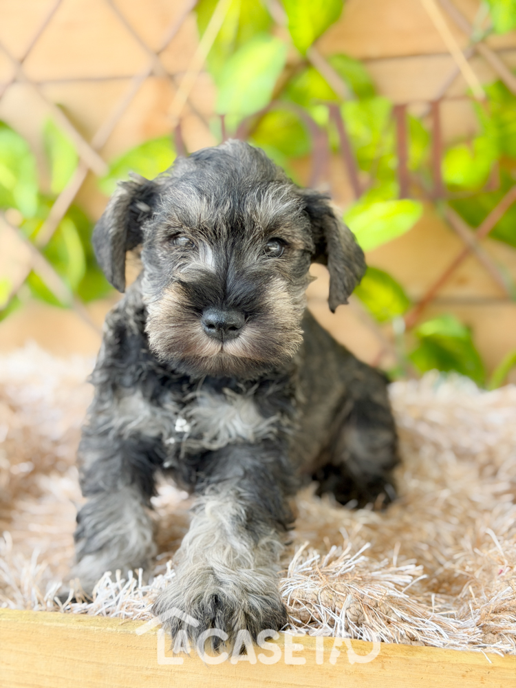 Fotografía tomada el 08/04/2026 Fotografía tomada el 08/04/2026