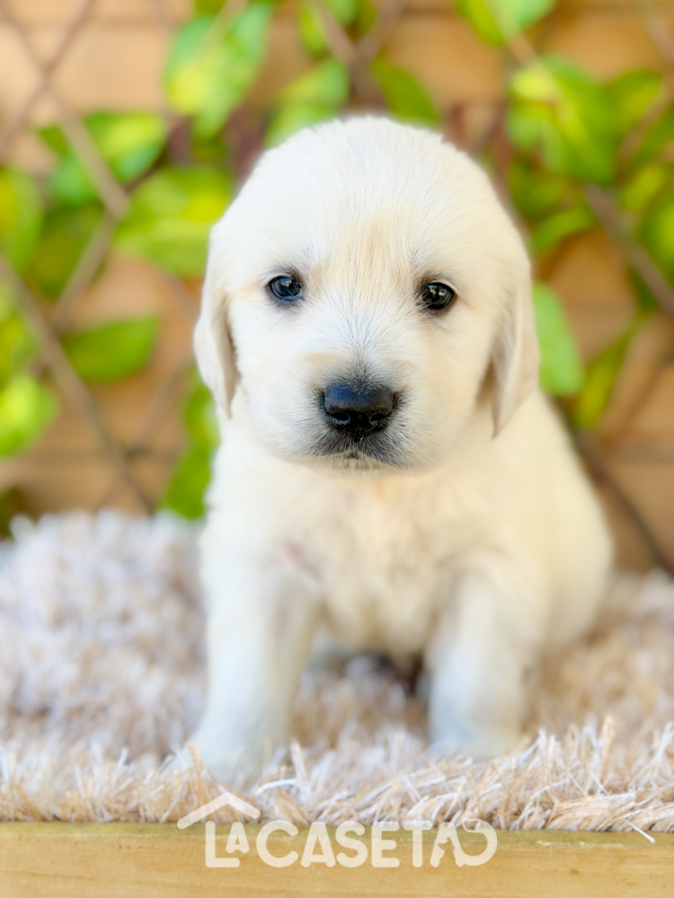 Fotografía tomada el 24/03/2026 Fotografía tomada el 24/03/2026