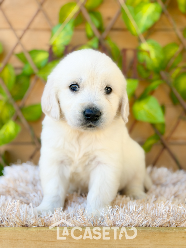 Fotografía tomada el 24/03/2026 Fotografía tomada el 24/03/2026